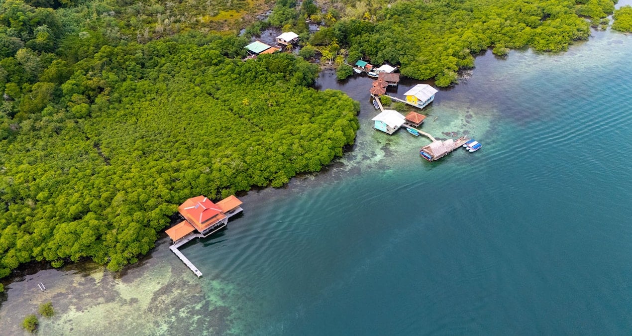 40 yil sonra ilk kez basarisiz oldu okyanuslarin kalp atisi durdu ti8E9zh7
