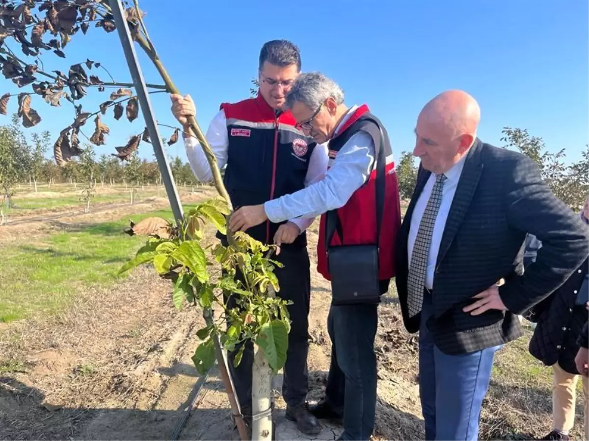 ceviz bahcesi ziyareti 4SESHrnA.jpg