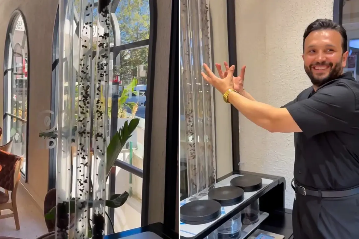 havada ucan kahve yunus cakmaktan kahveye gorsel solenli dokunus eNiQslYR