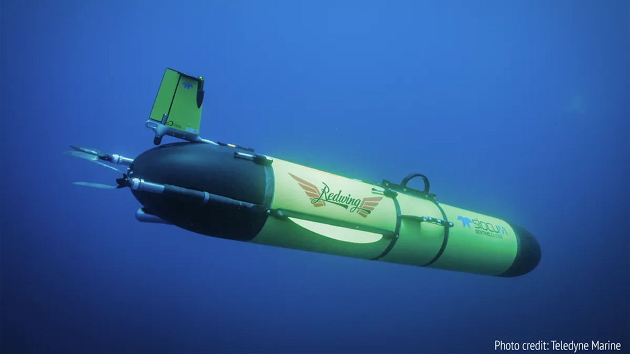 redwing okyanusun sirlarini cozmek icin 5 yillik yolcuguna basladi qWvgdqCl