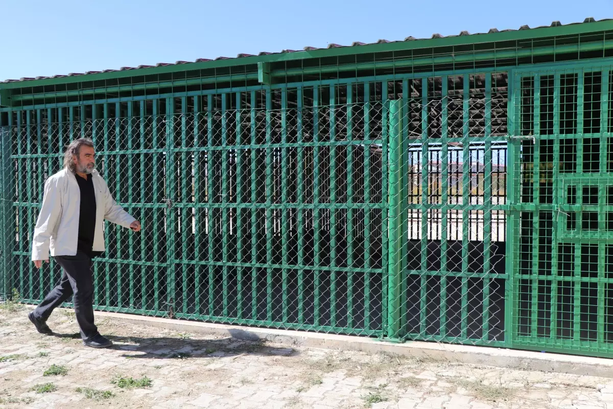 zincirli kurt kurtarildi hhkjc8YW.jpg