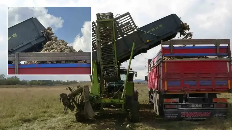 ciftcilerin zorlu pancar mesaisi devam ediyor 2BuCdjMM.webp