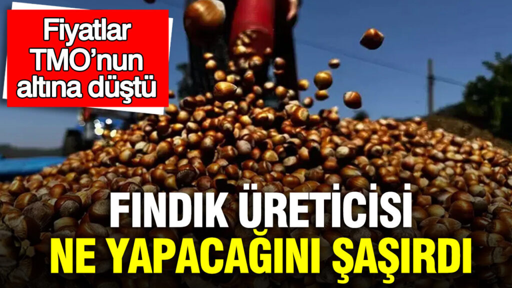 findik-ureticisi-ne-yapacagini-sasirdi-fiyatlar-tmonun-altina-dustu-l9M4xXMJ