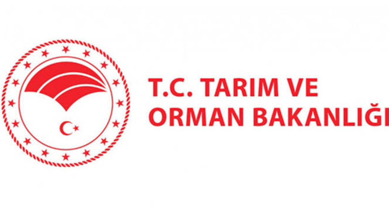 Haber gorseli